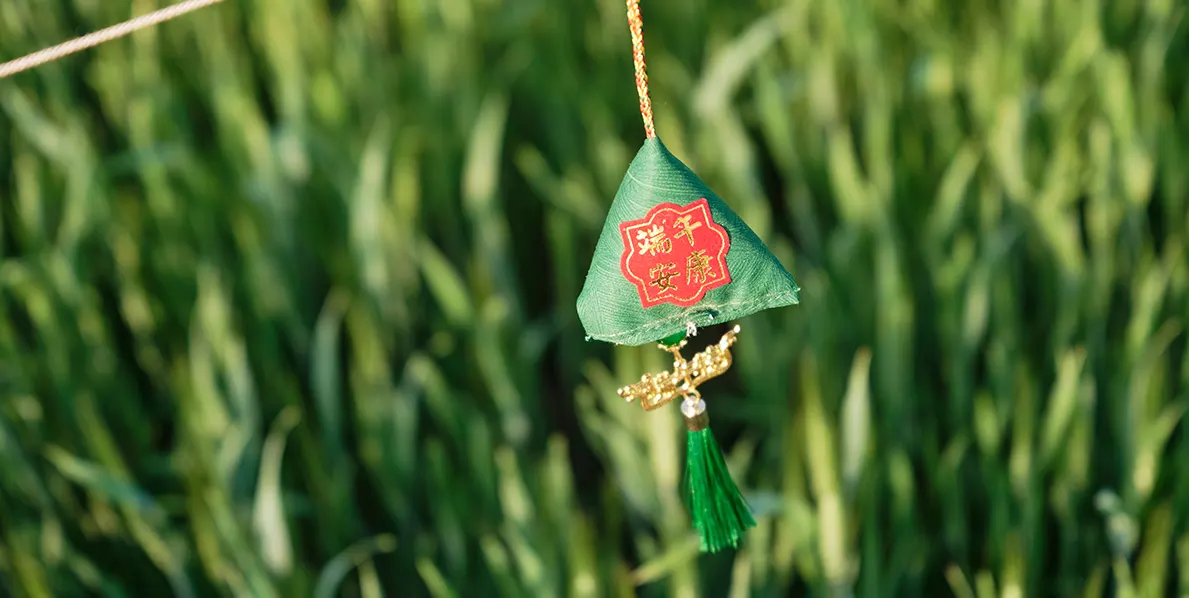 艾草种植基地